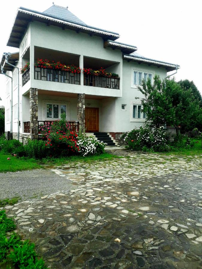Pensiunea Cristiana-Bucovina - B&B
