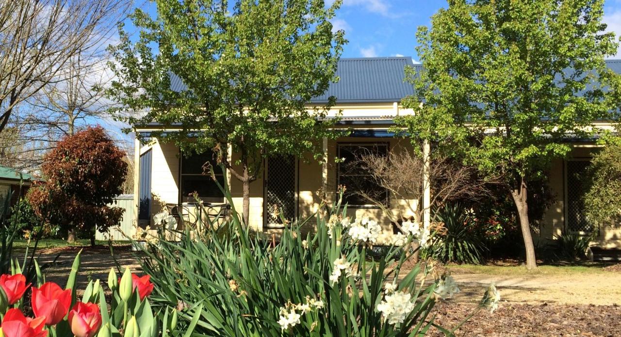 AVC - Birch Cottage - B&B Bright