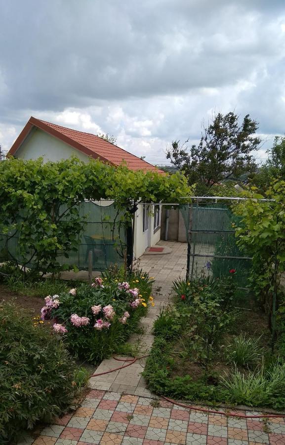 Домик у Ляны - B&B