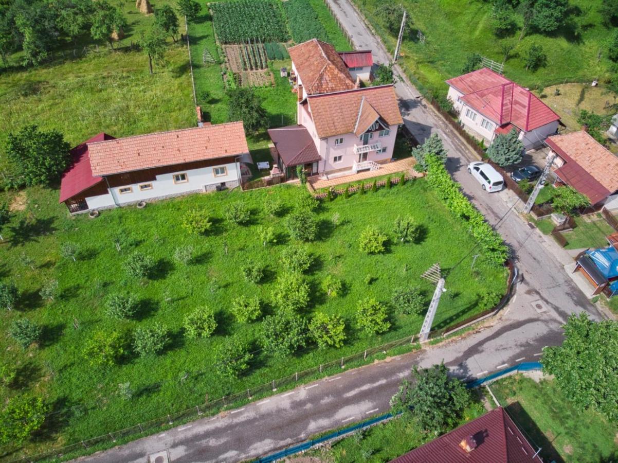 Vila Teo - B&B Bărăști