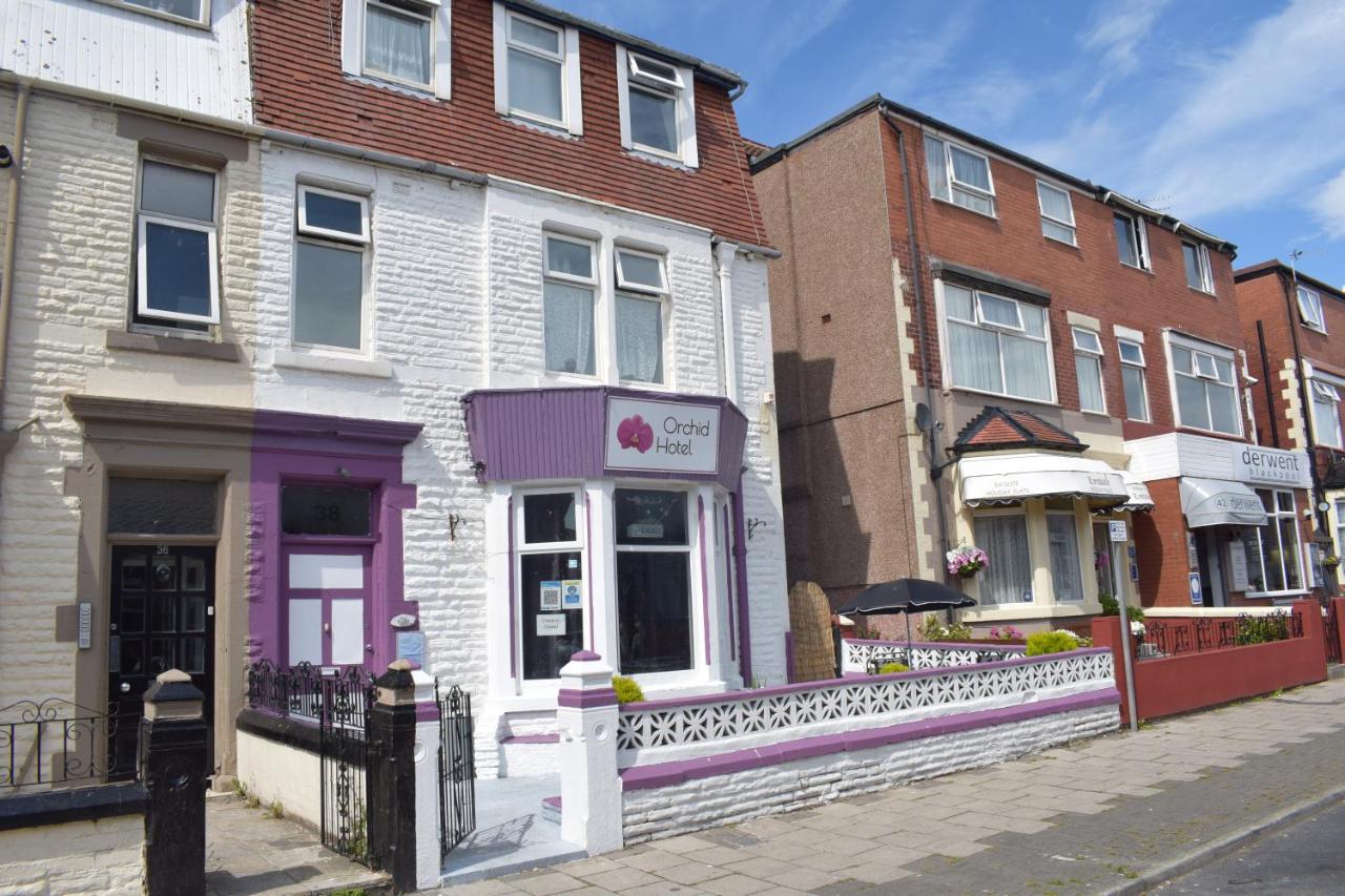 MyRoomz Orchid Hotel