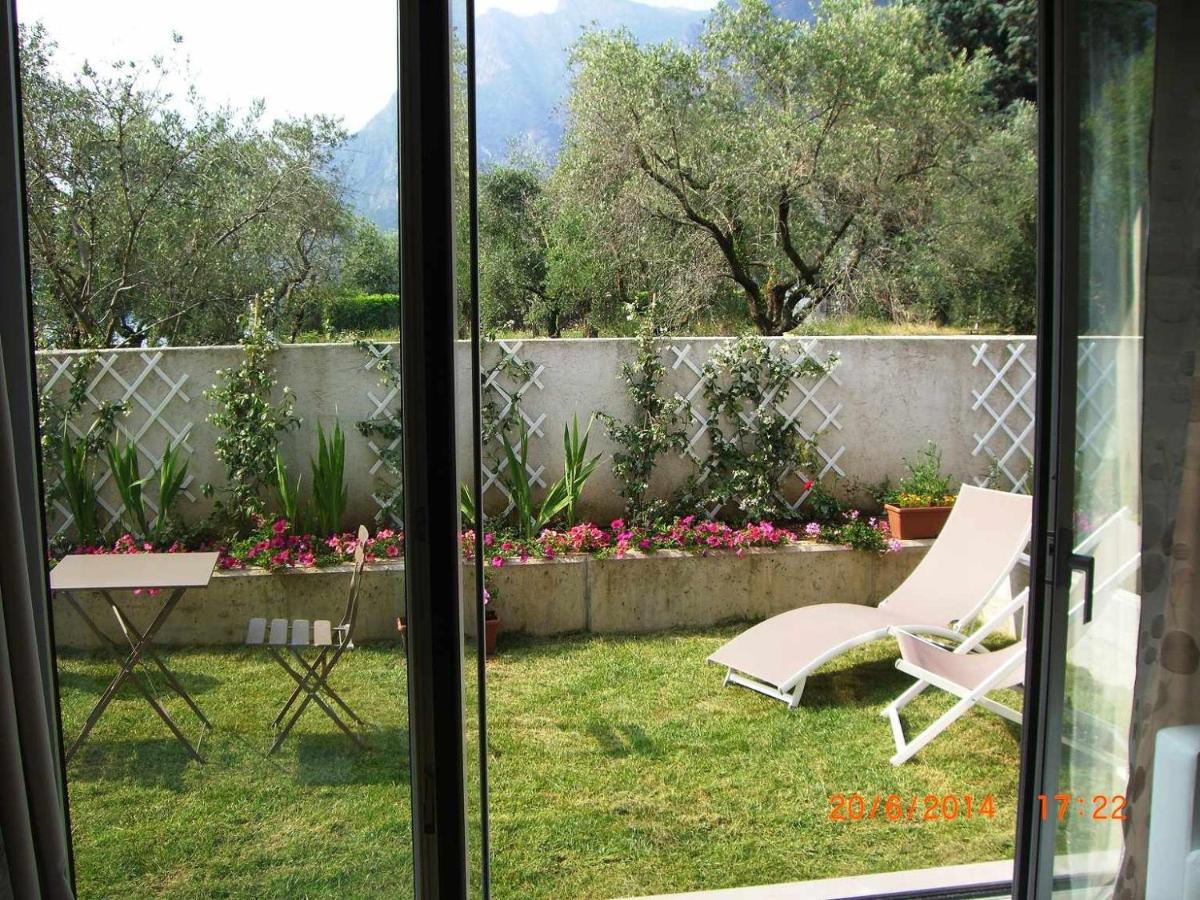 Studio with Garden View