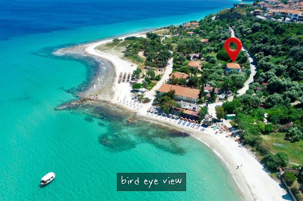 Apartment with Garden View