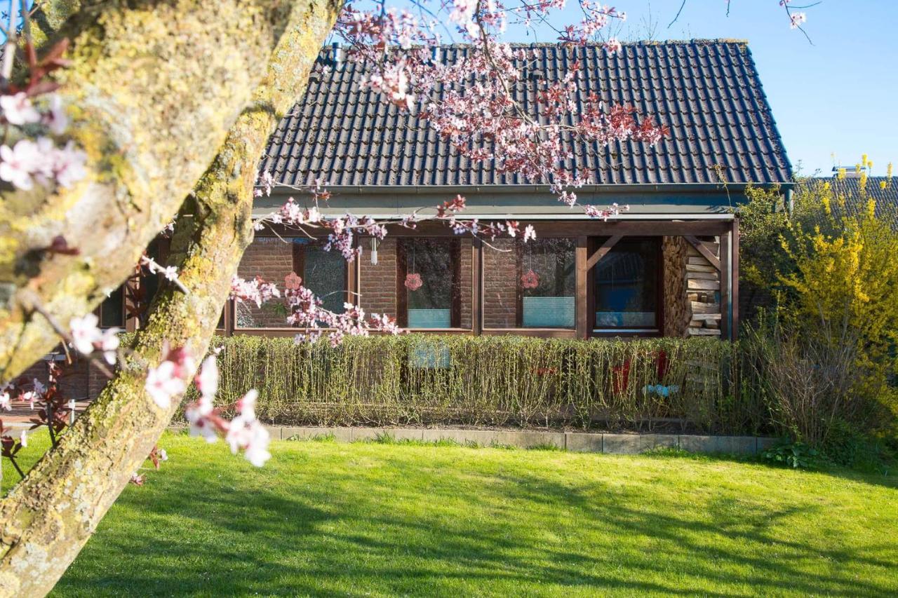 Haus Timpe Whg 3 - B&B