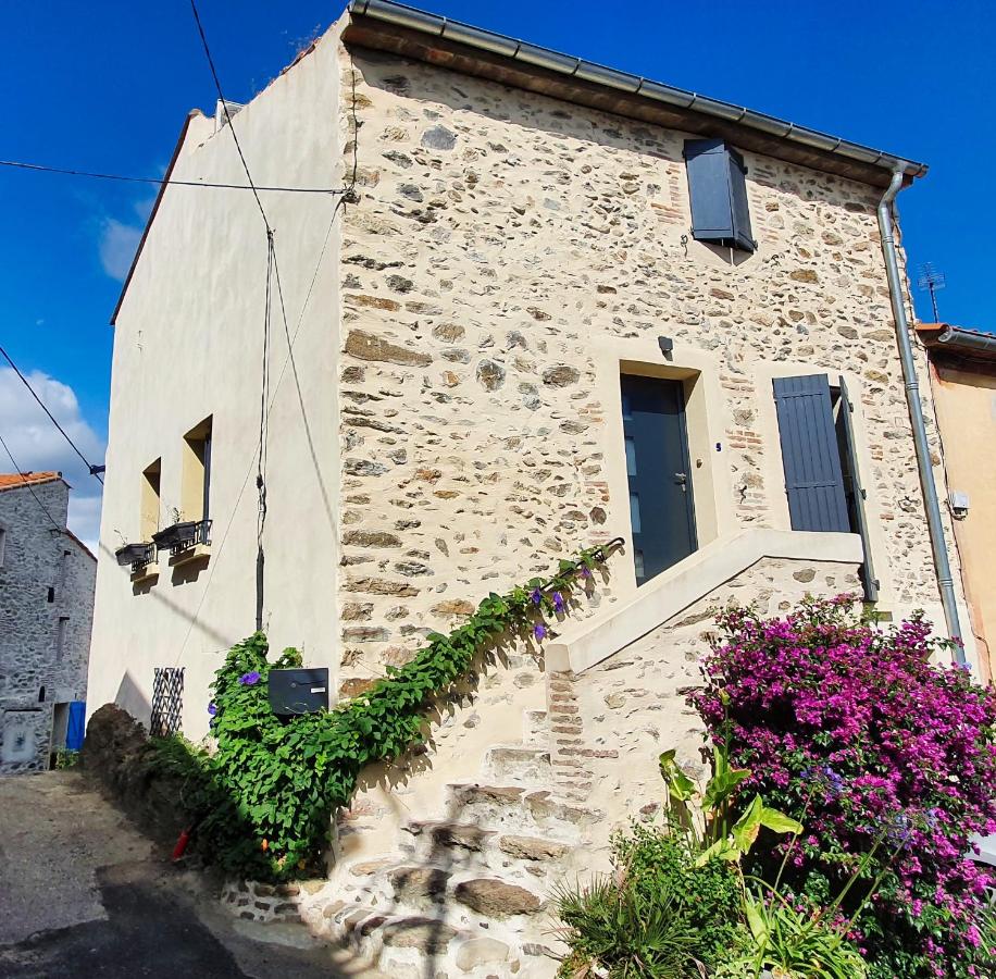 Le Micocoulier - B&B