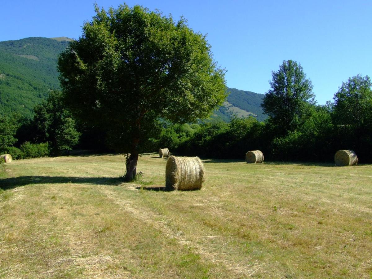 B&B Colle Verde - Relax Colleverde - Bed and Breakfast Colle Verde