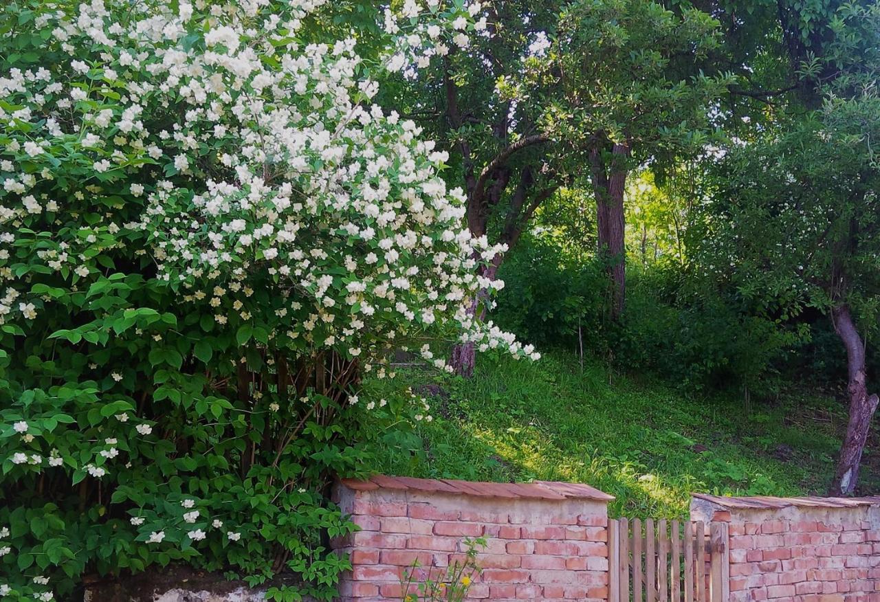 Casa Sighisoara56 - B&B