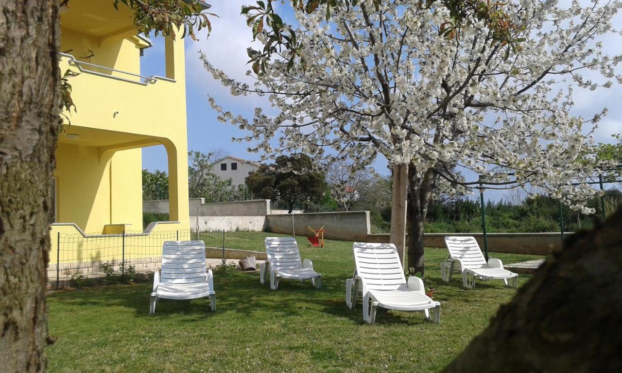 Guest house MIA - Ferienwohnung Vinkuran