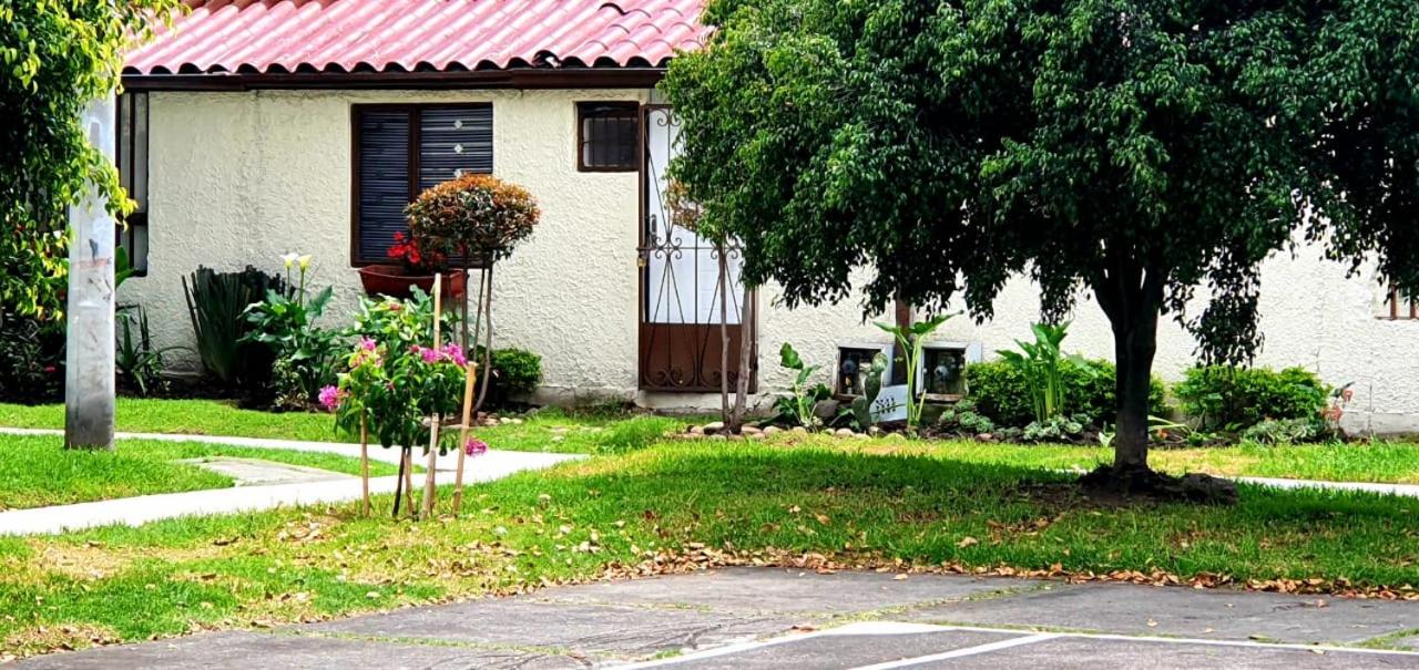 Kaikun apartaestudio - Bed and Breakfast
