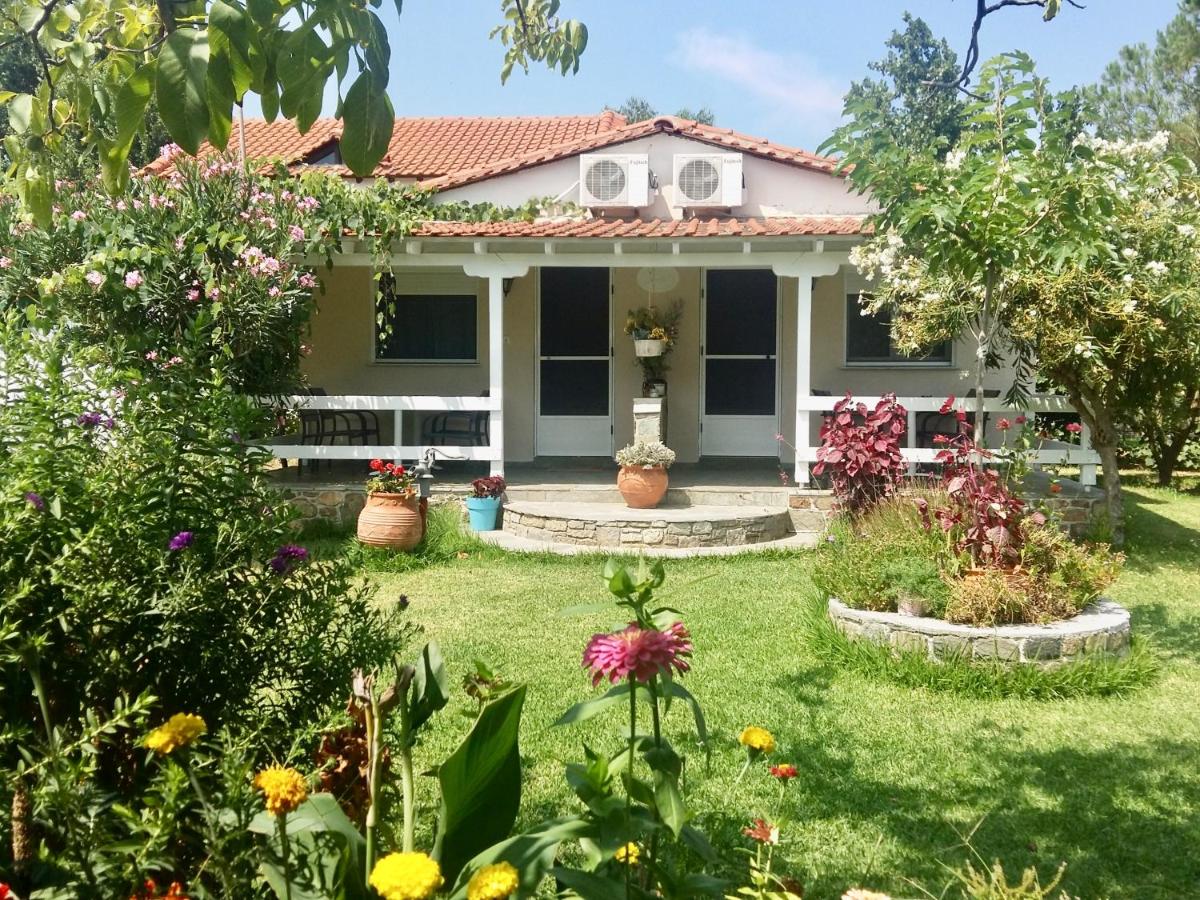 Nina Holidays - Ferienwohnung Sykia