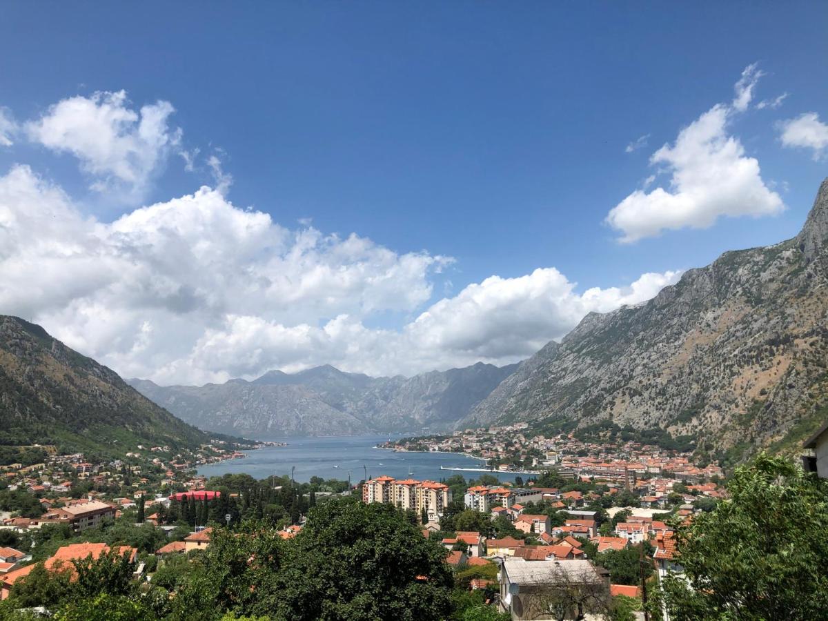 B&B Kotor - Apartman Savo - Bed and Breakfast Kotor