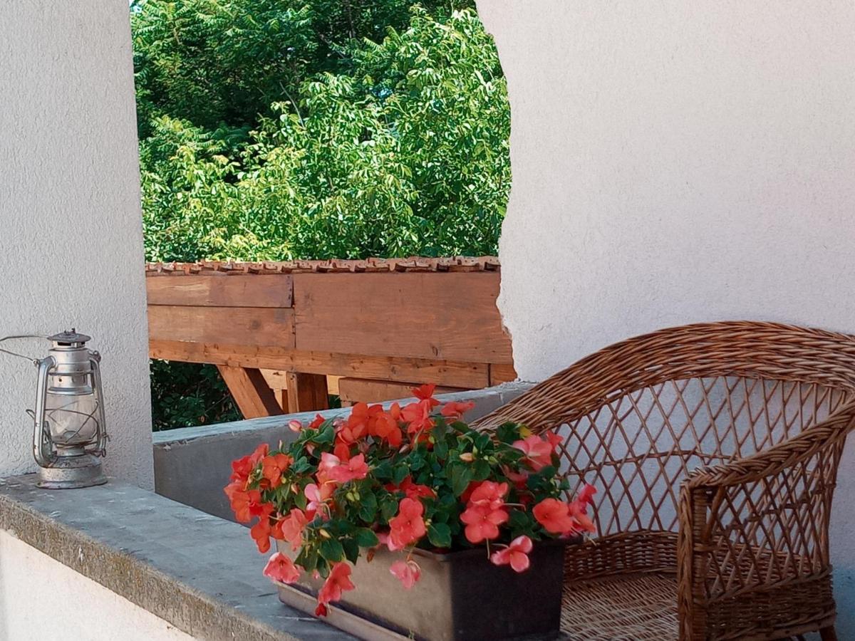 Apartamento con vistas al jardín