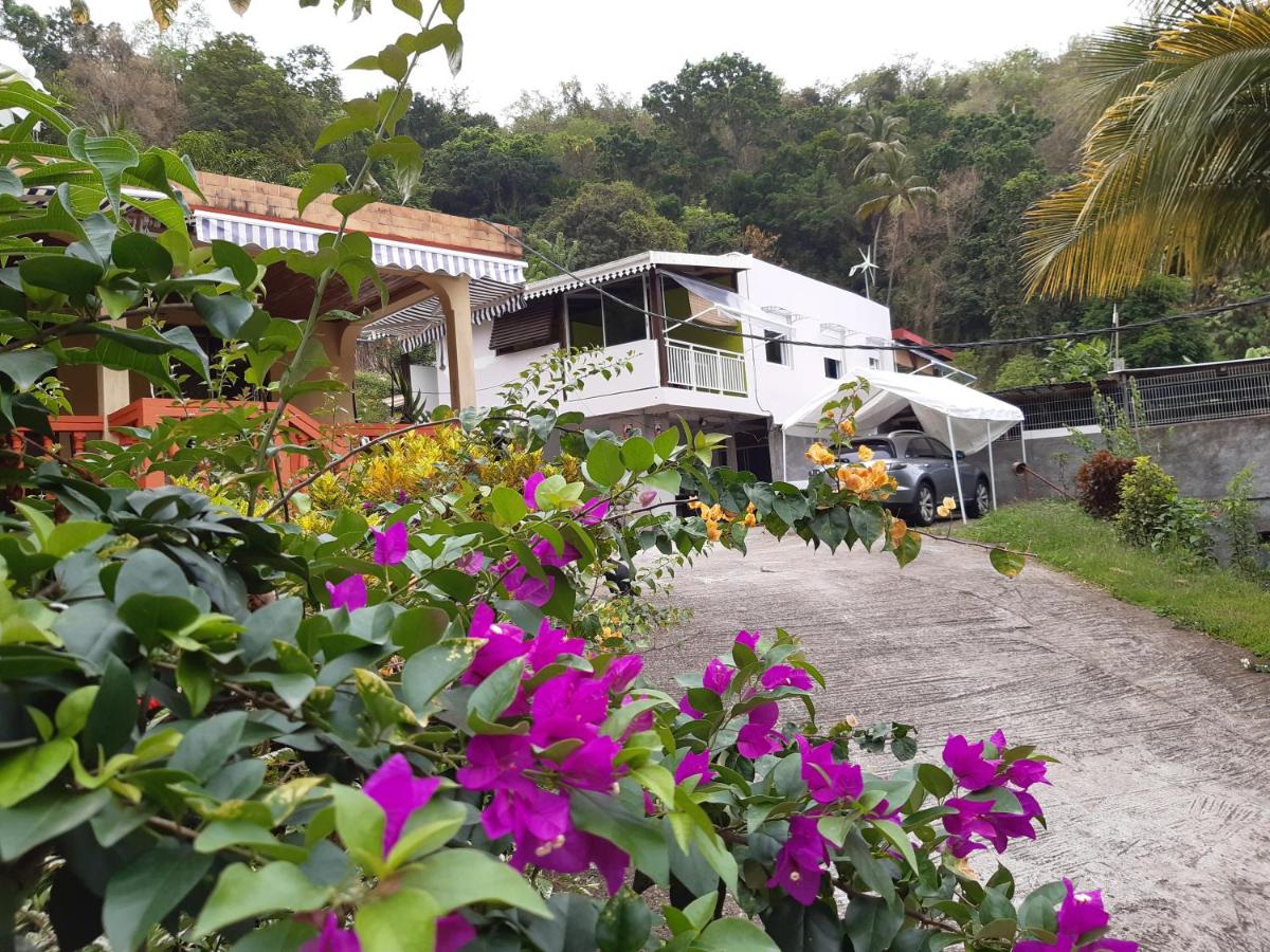 La Poulette amazonienne - Ferienwohnung La Mauny