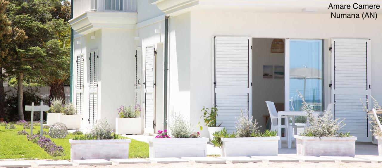 Amare Camere - B&B Numana