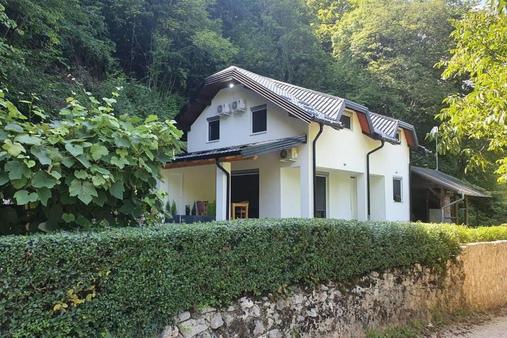 Villa DIAL Lohovo-dvoslap - B&B