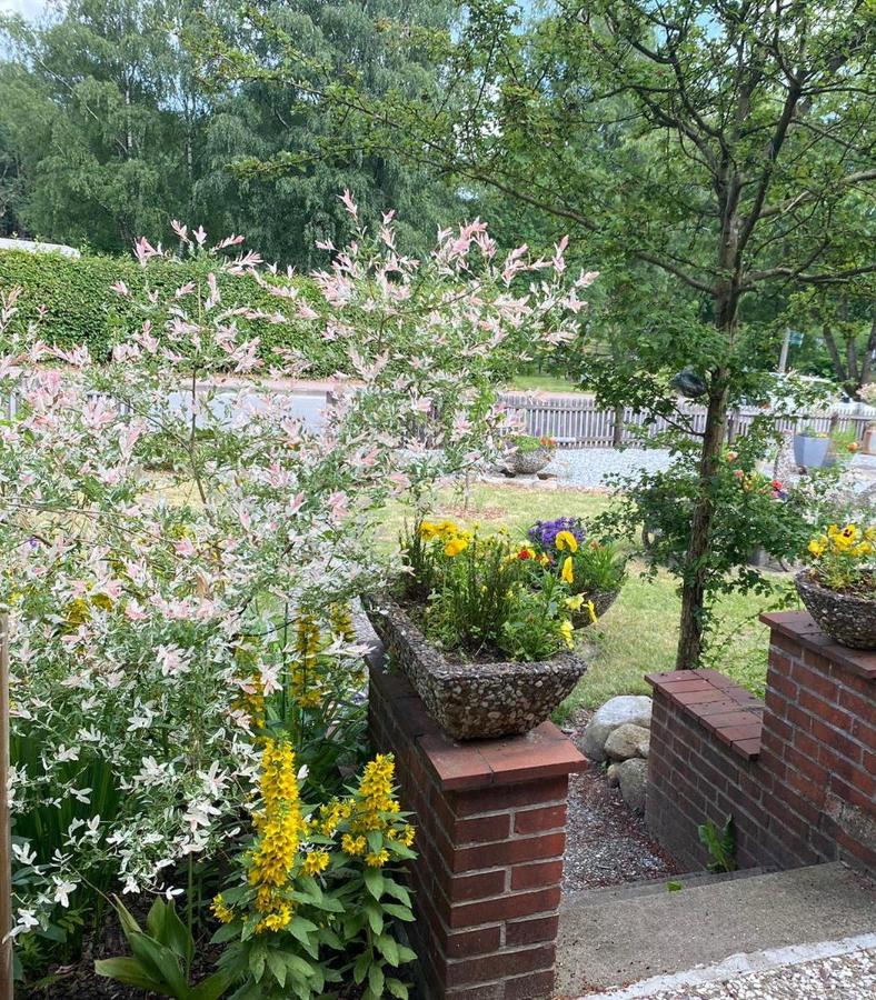 Chambre Double - Vue sur Jardin