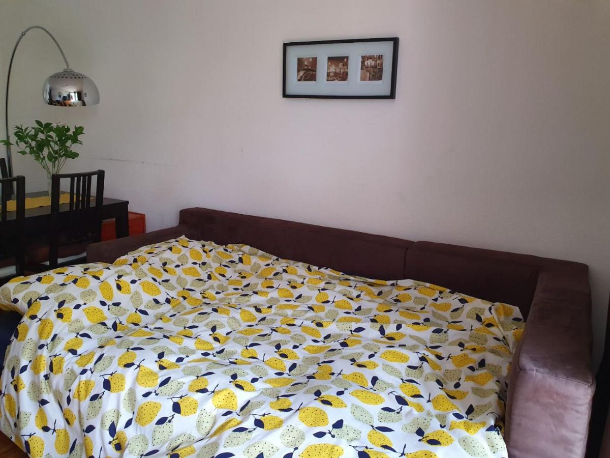 Stunning Studio Apartment - B&B Veyrier