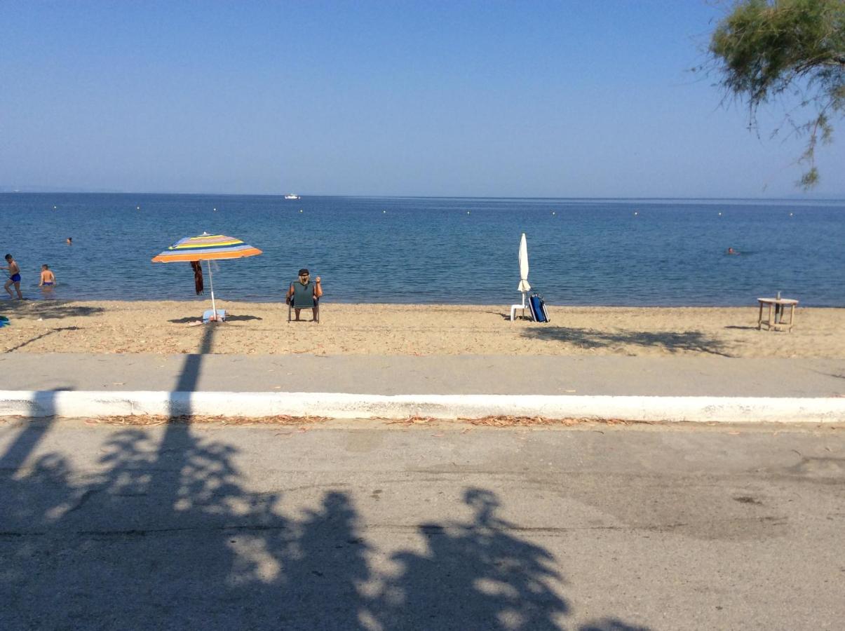 Paradise Blue - B&B