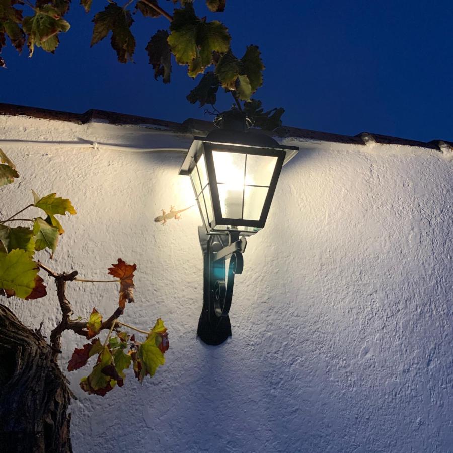 La Casilla- La Almona Chica - Ferienwohnung