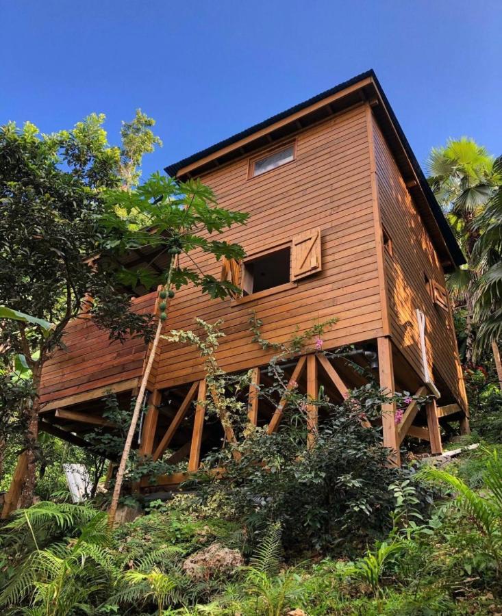 Banana Cottage Ecolodge & Spa - B&B Le Gosier