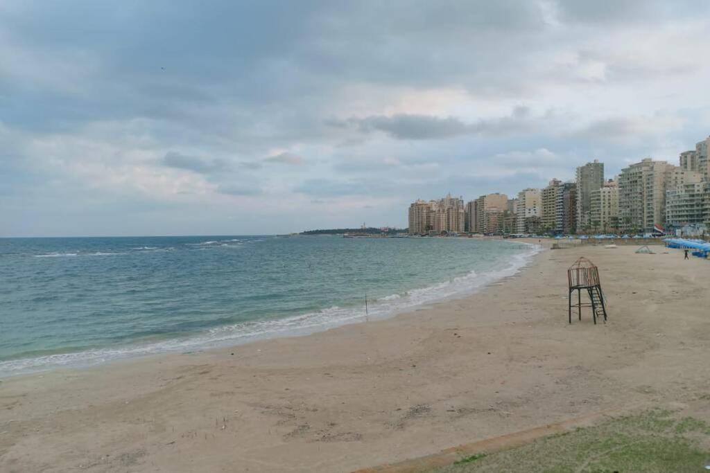 Entire Cozy Apartment - Khalid Ibn El Waleed - Bed and Breakfast Alexandrië