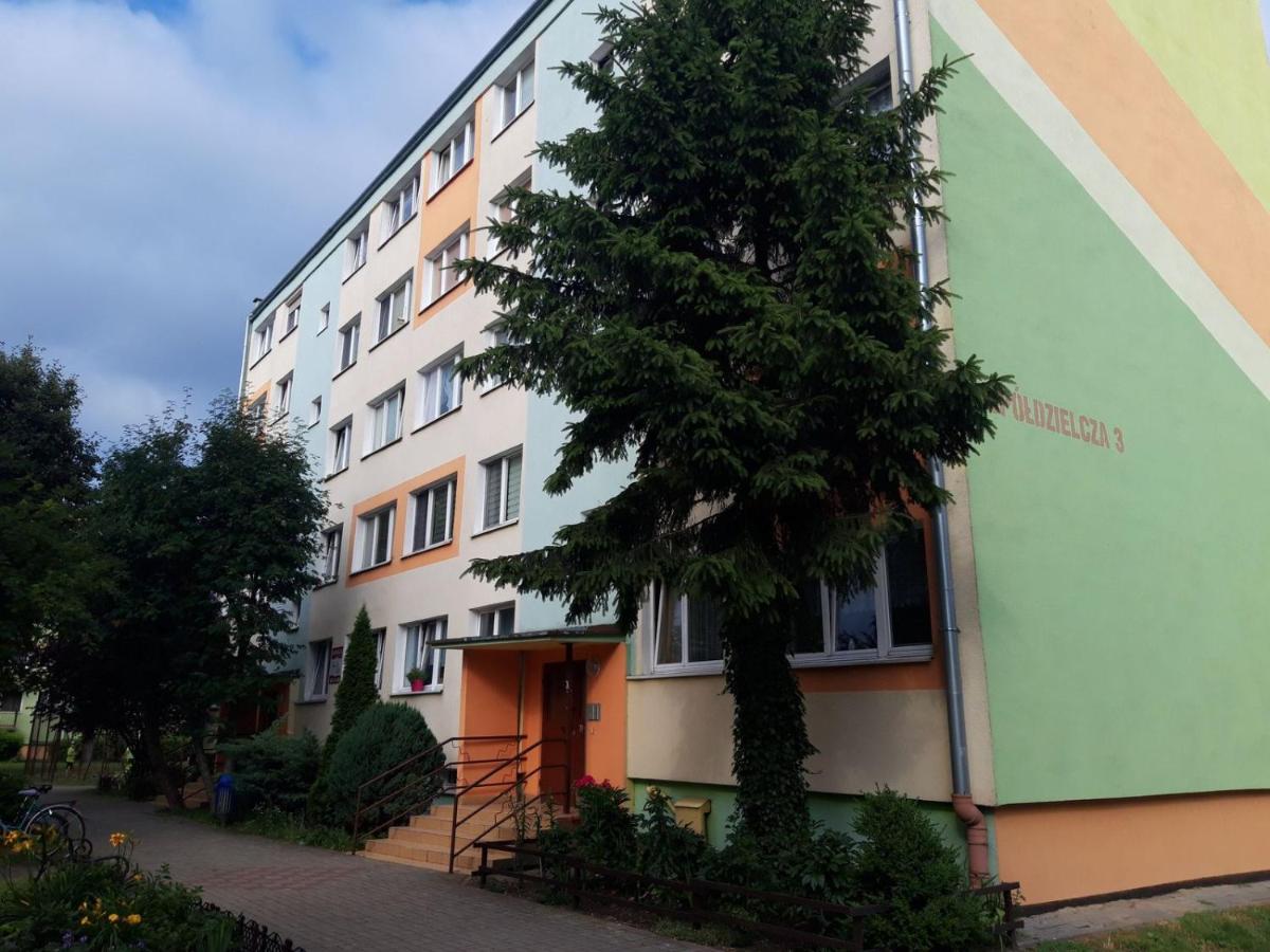 Apartament Aleksander - Bed and Breakfast