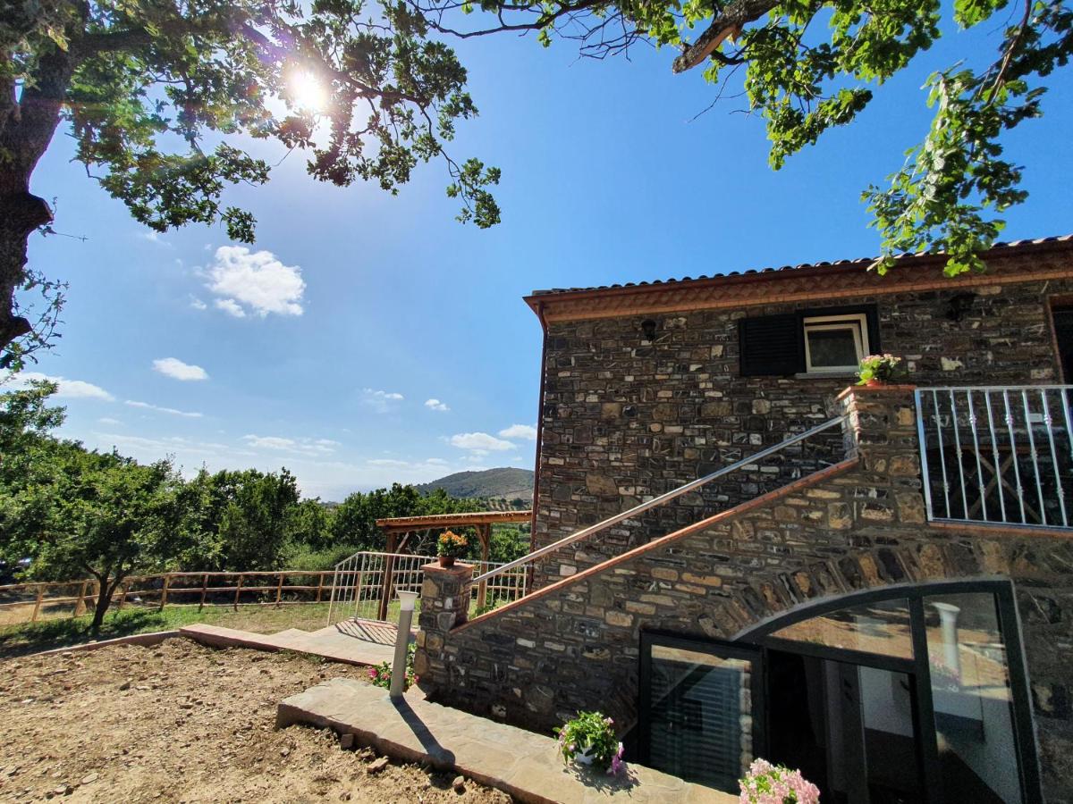 Agriturismo Le Terre di Veneré - B&B