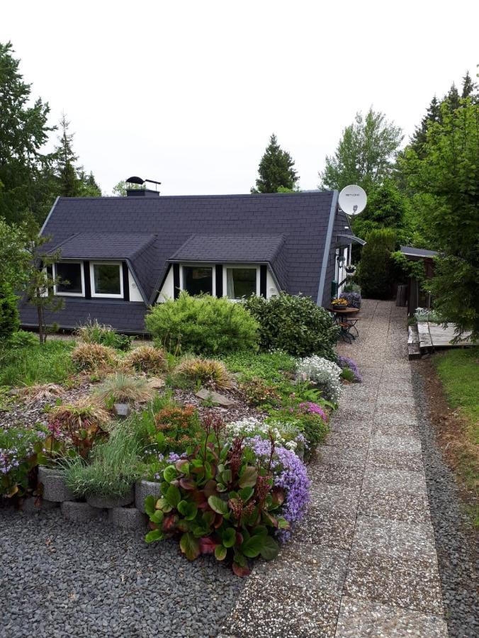 B&B Gerolstein - Eifel Residence - Bed and Breakfast Gerolstein