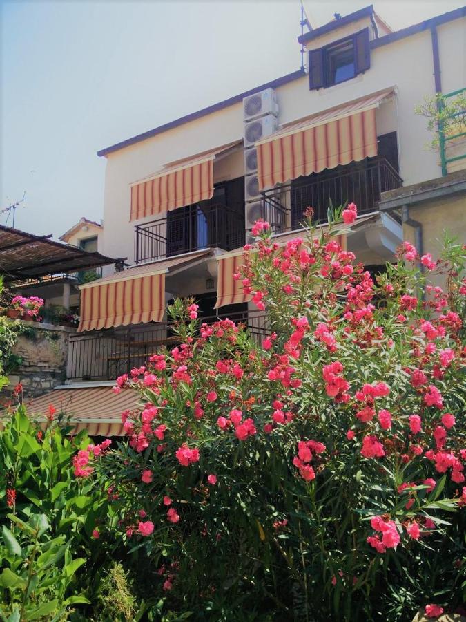 TEUTA Apartments Stari Grad Hvar - B&B Stari Grad