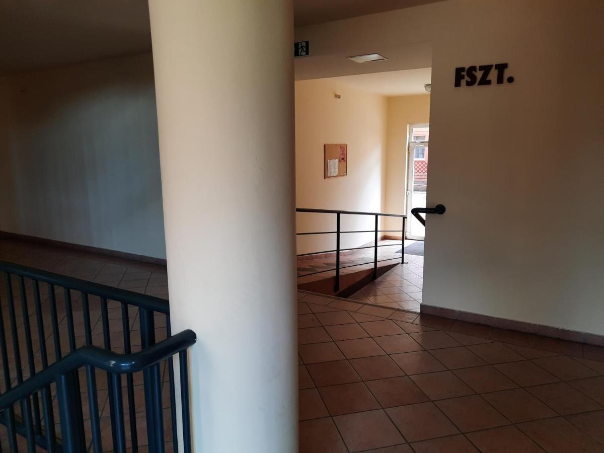 Crazy Frog Gambrinusz II. - B&B Hajdúszoboszló