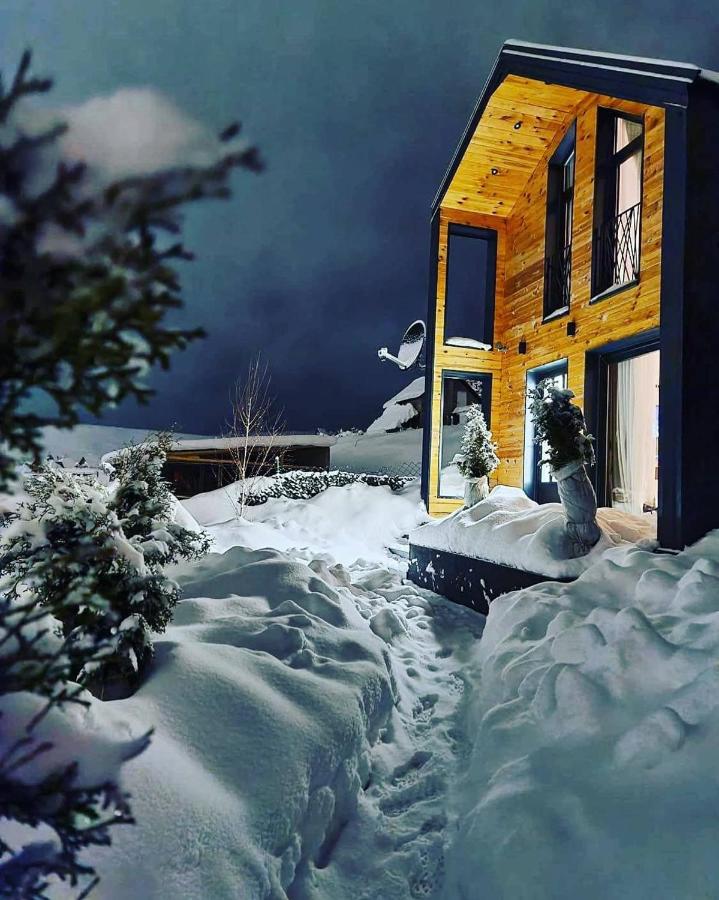 Vista Durmitor - luxury cabin - Chambres d’hôtes