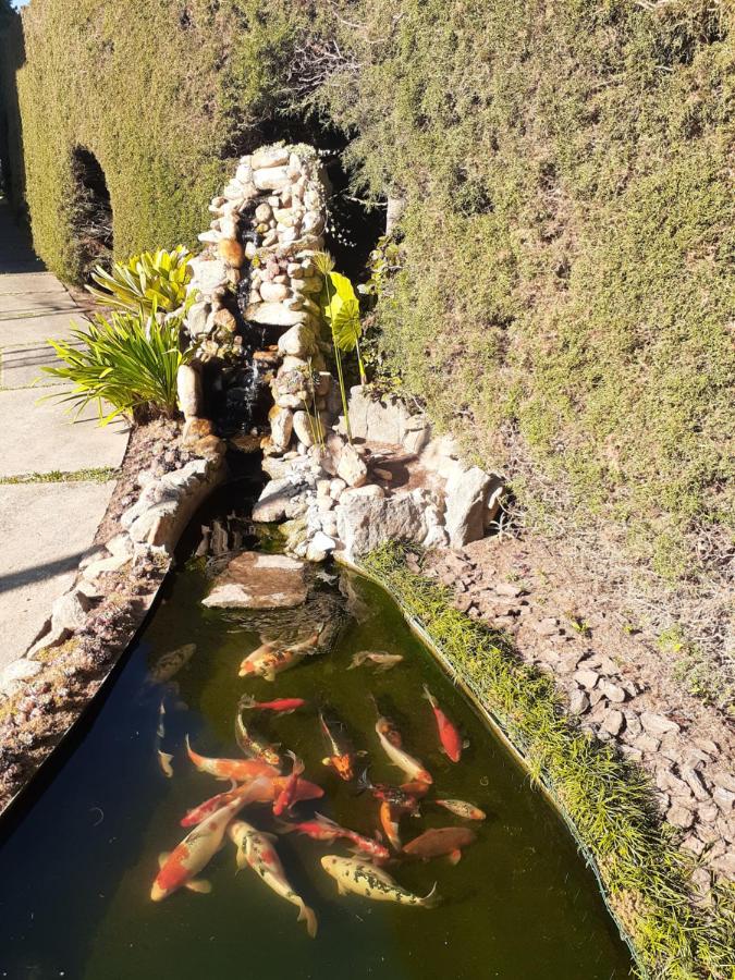 Guest House Família - B&B Campos do Jordão