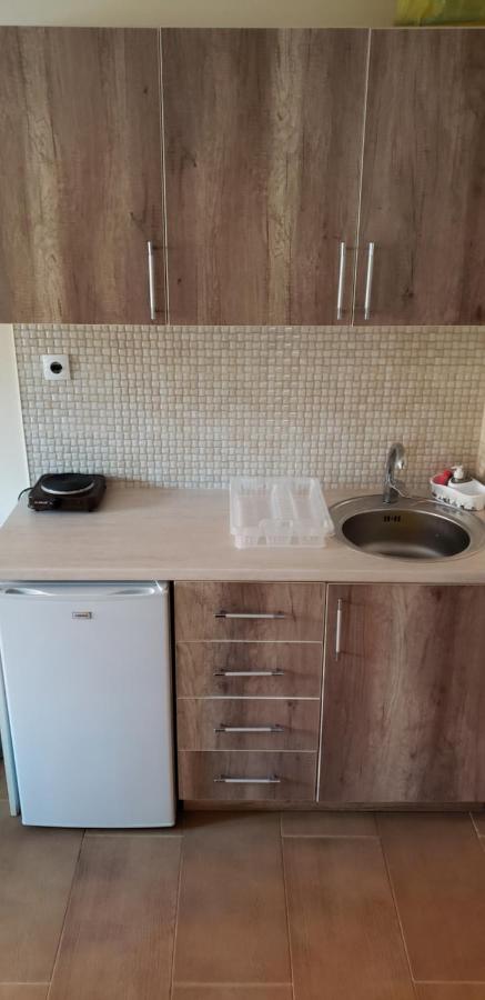 Apartment - Erdgeschoss