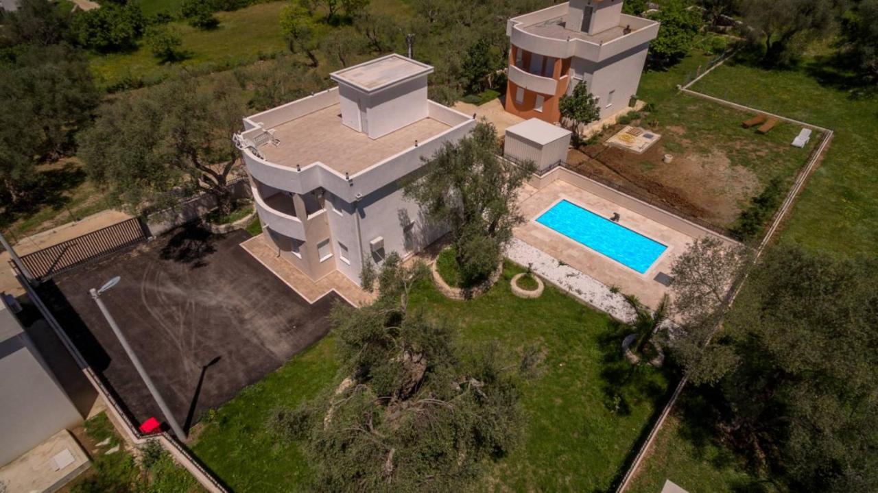 Olive - B&B Scurta
