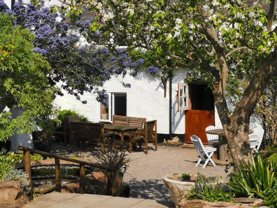 Steps Farmhouse B&B - B&B Minehead