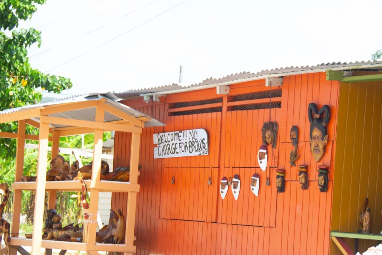 Cuckoo's Place - Bed and Breakfast Falmouth