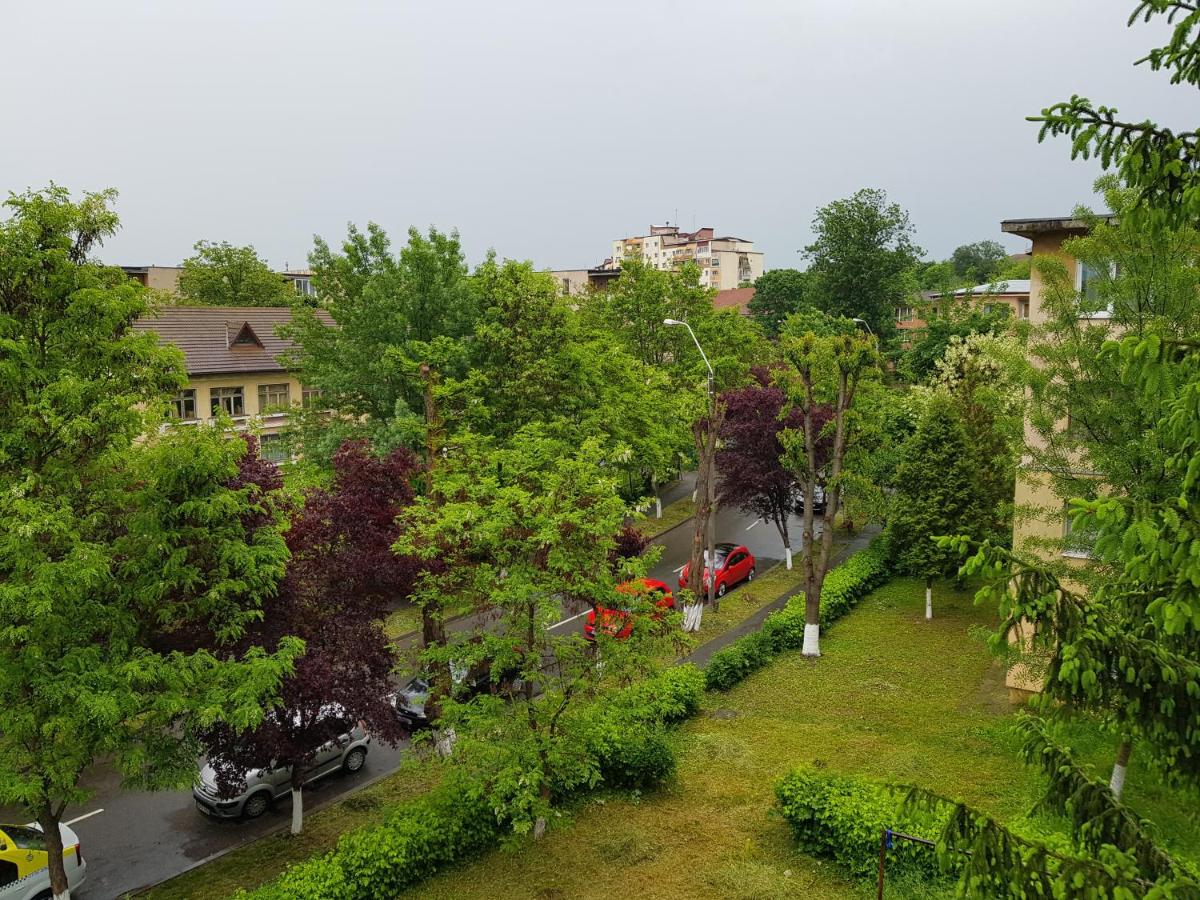 Aris Apartment - Ferienwohnung