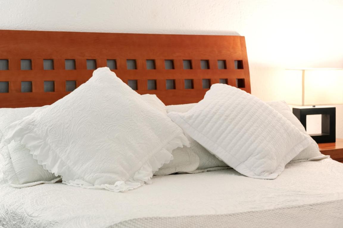 Suite 1-B El Rincón Garden House, Welcome To San Angel - Ferienwohnung