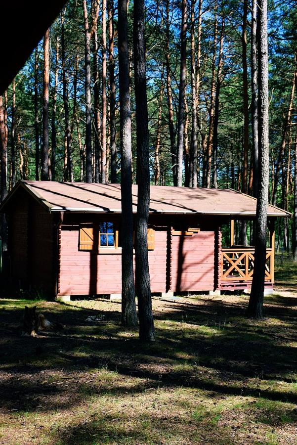 Leśniczówka-Wdzydze Pe eL - B&B