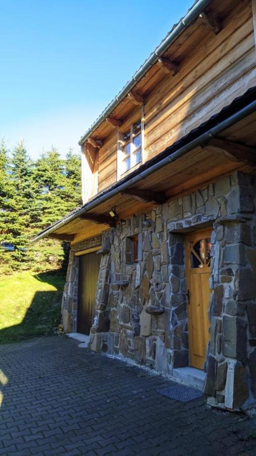 Zakodomki Apartement Pyzdra - B&B