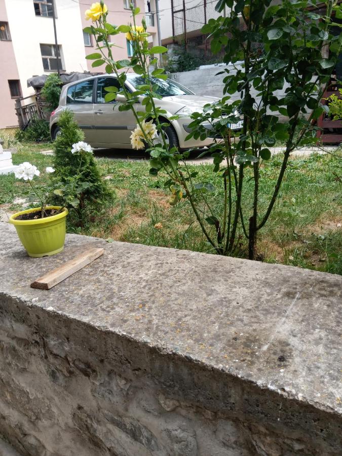Doppelzimmer mit Gartenblick