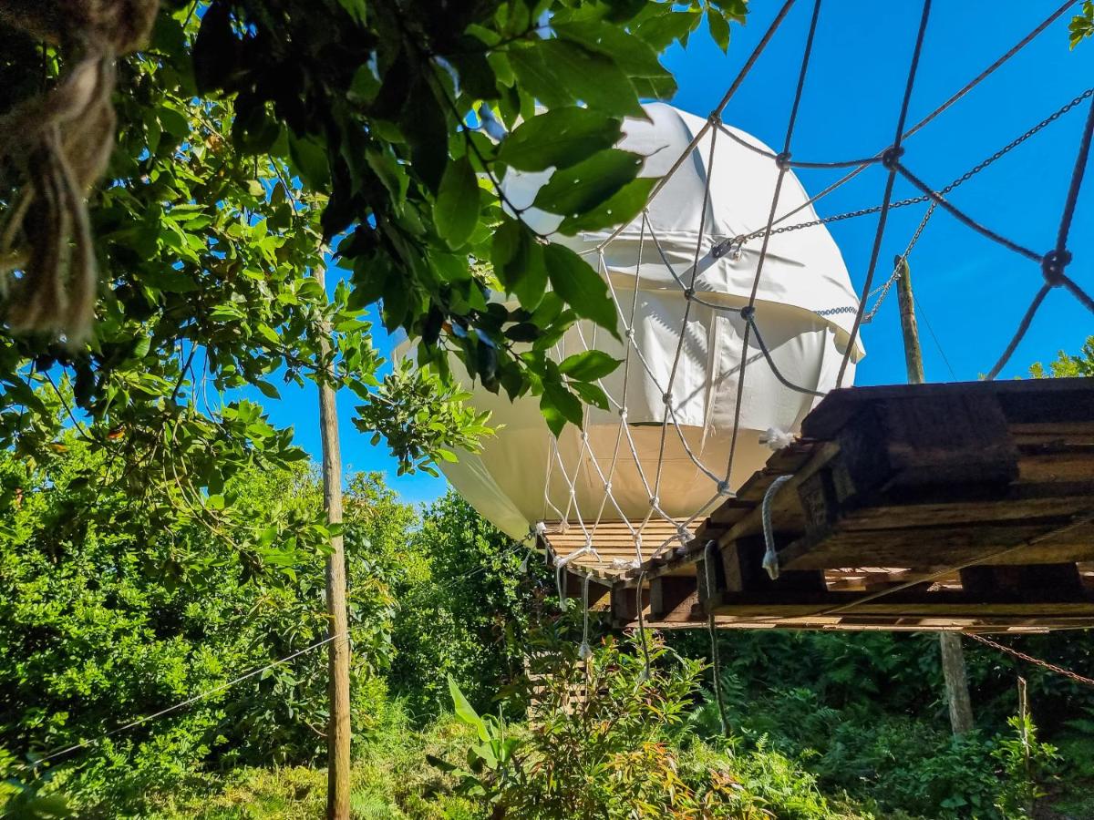 Quinta do Abacate - Glamping Park - B&B