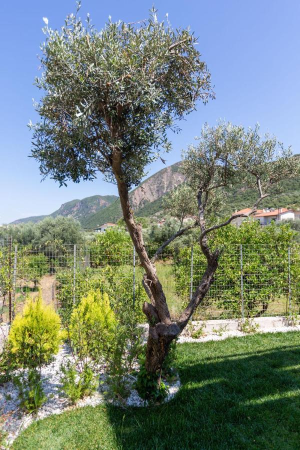 Apartment with Garden View