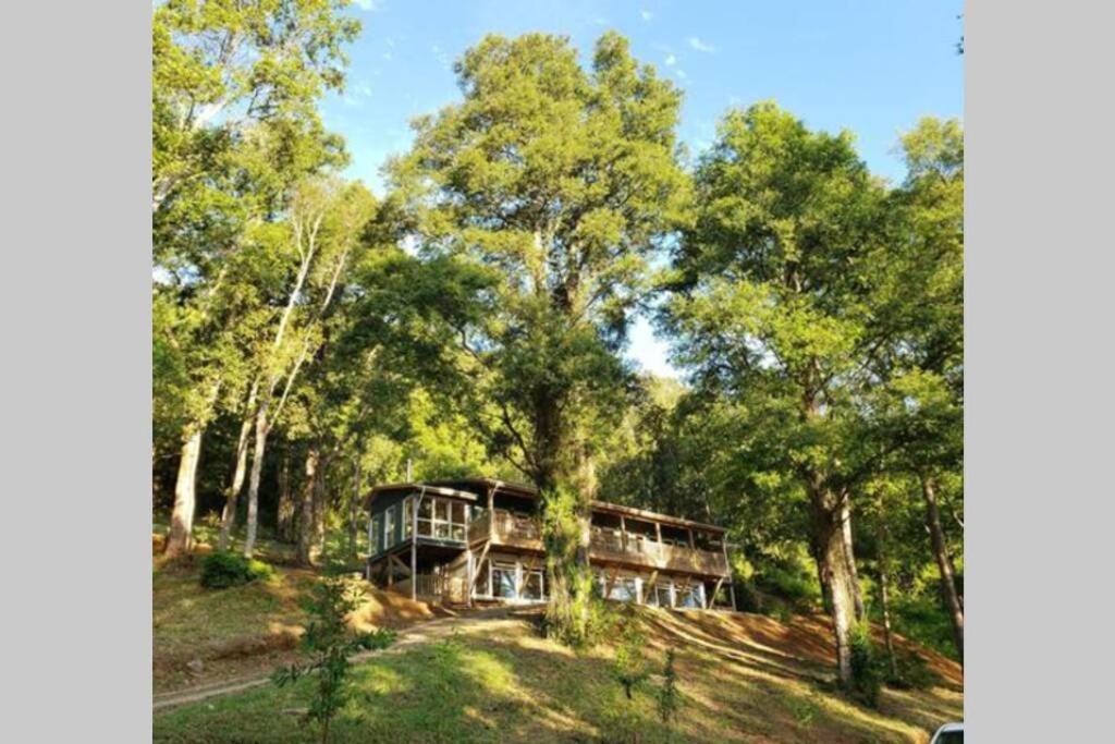 LA CASA EN EL BOSQUE con vista al Río - B&B