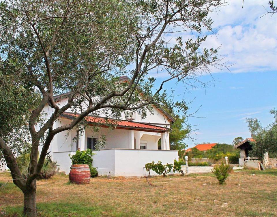 B&B Vir - Apartments in Vir - Insel Vir 41569 - Bed and Breakfast Vir