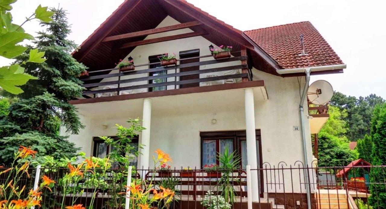 Apartment in Siofok/Balaton 20030 - B&B