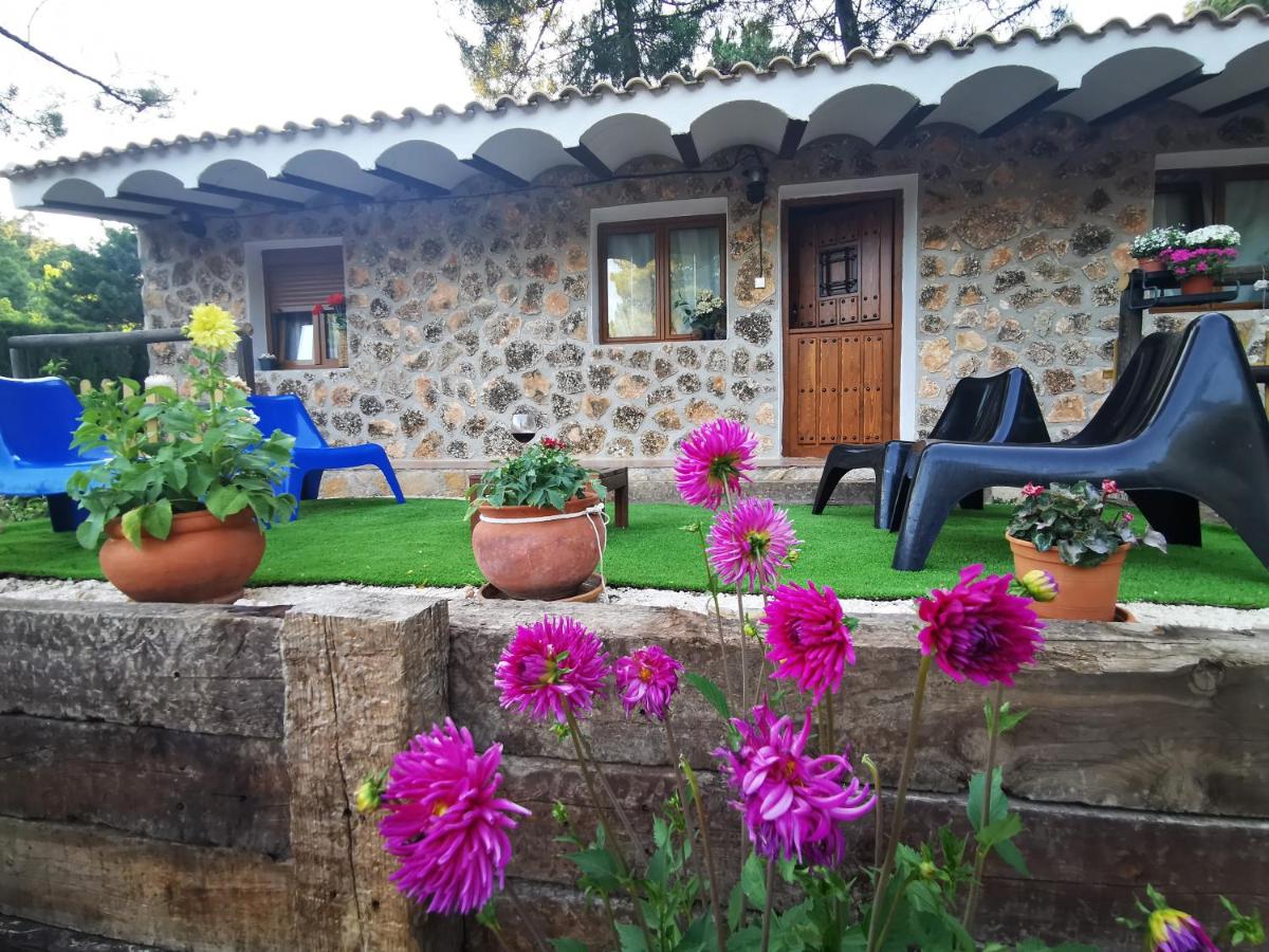 Chalet de Montaña Parque Natural Calar Río Mundo - Independiente - Wifi - B&B Riópar