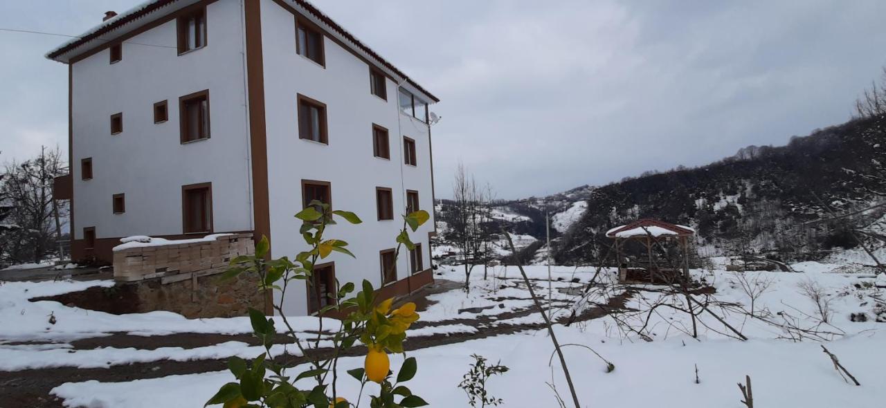 Apartment mit Terrasse