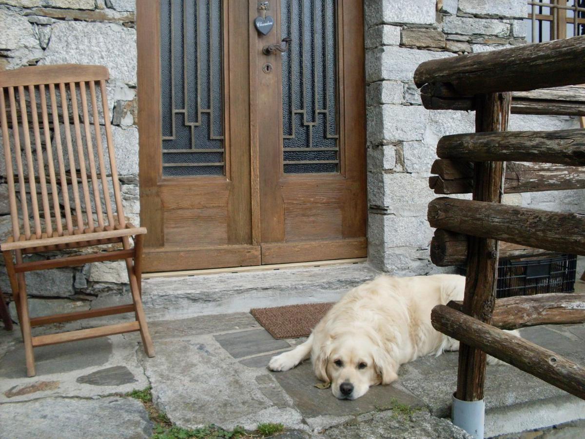 Agriturismo Da Attilio - B&B Cannobio