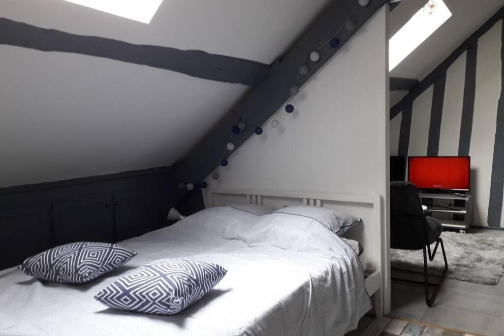 Loft Haut de Gamme Centre Montargis, Place de Parking, Local à vélos, Linge de lits et serviettes, coin rivière amenagé, Hamac, Épicerie, Vélos en option, Tout confort jusqu'à 4 voyageurs - Chambres d’hôtes